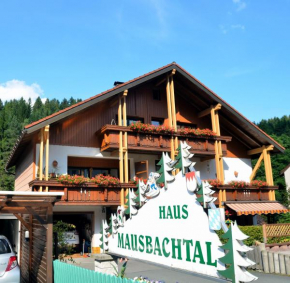 Отель Pension Mausbachtal, Варменштайнах